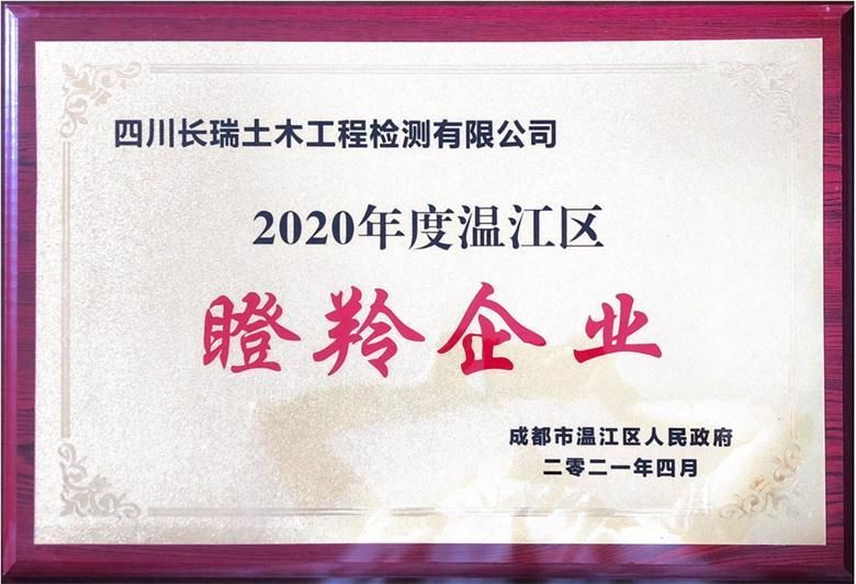 瞪羚企業(yè)